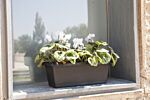 Gardenico - Self-irrigating Planter For Balconies 400mm - Anthracite - Twin Pack