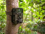 Garden Wildlife Trail Camera Hd Ultimate Bundle