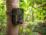 Garden Wildlife Trail Camera Hd