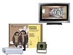 Green Feathers Bird Box Camera With Wireless Transmission