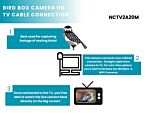 Green Feathers Bird Box Camera Hd With Tv Cable Connection