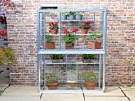 Hampton 3′ 4″ Mini Greenhouse