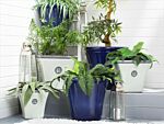 Set Of 2 Plant Pots Planters ⌀46 Solid Navy Blue Fibre Clay High Gloss Outdoor Resistances All-weather Beliani