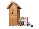 Green Feathers Bird Box Camera Hd Deluxe Bundle Network Cable Connection