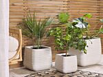 Large Plant Pot Dirty White Polyresin Outdoor Garden Square 50 X 49 Cm Uv Resistance Beliani