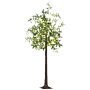 Homcom 6ft Olive Tree Light With 300 Warm White Led Lights, Artificial Tree For Indoor, Wedding, Christmas, Home Decoration, Green