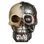 Fantasy Steampunk Skull Ornament - Half Robot Head