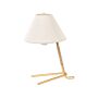 Table Lamp Gold Glass Shade Iron Rod Frame Single Light