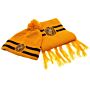 Harry Potter Junior Beanie & Scarf Hufflepuff