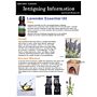 Peppermint Essential Oil Info