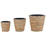 Set Of 3 Plant Pots Natural Water Hyacinth Weave Round Synthetic Inserts