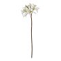 The Natural Garden Collection White Lily Stem