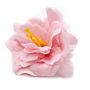 Craft Soap Flower - Small Peony - Pink - Pack Of 10