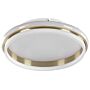 Ceiling Led Lamp Gold Metal 42 Cm Acrylic Opal Ring Shade Led Warm White Light Flush Lighting