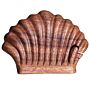 Bali Magic Box - Sea Shell