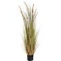 Field Grass Pot 60 Inch