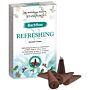 Aromatherapy Backflow Cones - Refreshing