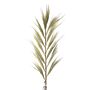 Dried Rayung Grass Blond - 1.6m