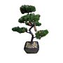 Bonsai Tree Decoration Fir Tree 37cm