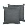 Set Of 2 Scatter Cushions Dark Grey 45 X 45 Cm Decorative Throw Pillows Removable Covers Zipper Closure Basic