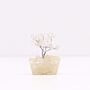 Mini Gemstone Tree On Orgonite Base - Rock Quartz (15 Stones)