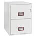 Phoenix World Class Vertical Fire File Fs2272k 2 Drawer Filing Cabinet With Key Lock