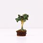 Mini Gemstone Tree On Wood Base - Green Aventurine (15 Stones)