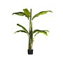 Artificial Potted Banana Tree Green And Black Synthetic 154 Cm Material