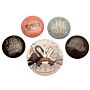 The School For Good & Evil Button Badge Set