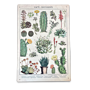 Vintage Metal Sign - Retro Cacti & Succulents Identification Picture