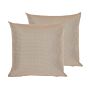 Set Of 2 Outdoor Pillows Cushions Polyester Sand Beige 40 X 40 Cm Zip Modern Design Scatter Cushion Throw