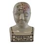 Large Ceramic Crackle Phrenology Head