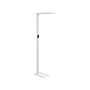 Floor Led Lamp White Aluminium 196 Cm Height Touch Switch Dimming Motion Sensor Modern Lighting