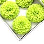 Craft Soap Flower - Small Chrysanthemum - Light Green - Pack Of 10