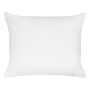 Bed Pillow White Lyocell Japara Cotton Rectangular 50 X 60 Cm Polyester Filling High Profile Sleeping Cushion