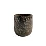 9cm Synergy Candle Pot Wild Fig & Mulberry