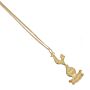 Tottenham Hotspur Fc 18ct Gold Plated On Silver Pendant & Chain