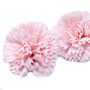 Craft Soap Flowers - Carnations - Pink - Pack Of 10