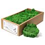 Decoration Reindeer Moss - Moss Green - (approx 500gm)