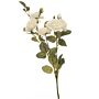 Soft White Cottage Rose Stem