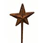 Star 4ft Plant Pin Bare Metal/ready To Rust