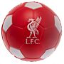 Liverpool Fc Stress Ball