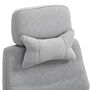 Vinsetto Home Office Chair W/ Manual Footrest Recliner Padded Modern Adjustable Swivel Seat W/ 2 Pillows Armrest Ergonomic Grey