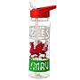 Reusable Welsh Dragon Wales Cymru 550ml Water Bottle With Flip Straw