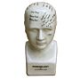 Small Ceramic Phrenology Head, 19cm