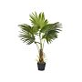 Artificial Potted Fan Palm Plant Green And Black Plastic Leaves Material 100 Cm