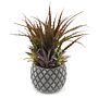 Succulents In Large Lattice Design Grey Pot