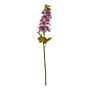 The Natural Garden Collection Purple Elatum Delphinium