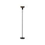 Floor Lamp Black And Gold Metal Base Glass Smoked Shade 154 Cm Pull Switch Modern Lighting