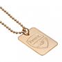 Arsenal Fc Gold Plated Dog Tag & Chain